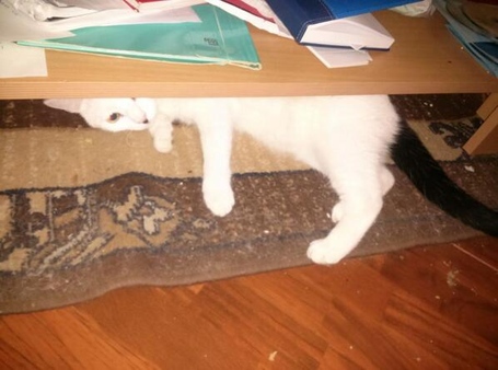 Bqcwex7igaa50ut_medium